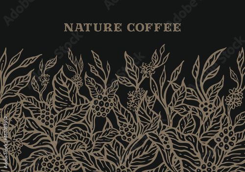 Hand drawn nature illustration doodle botanical plant ornament tropical harvest Coffee tree