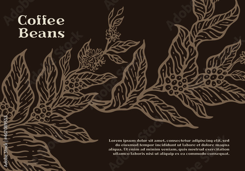 Coffee tree branch template with natural coffee leaves and beans. Botanical illustration.