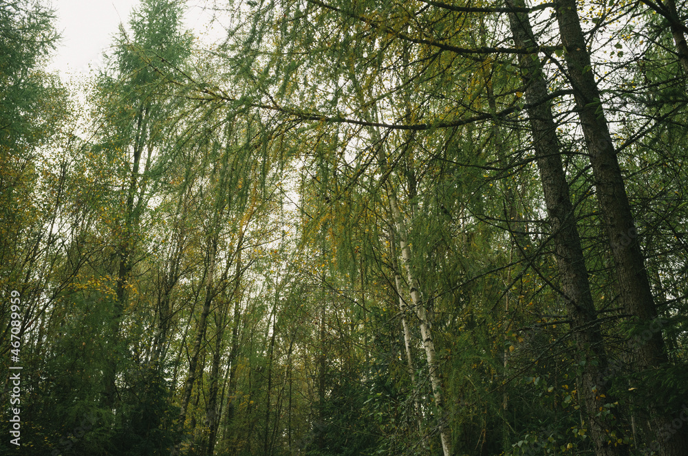 Fototapeta premium Exploring roads less ridden, little adventures around hometown