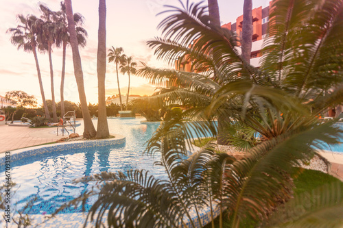 Photography of a residential area during the sunset with palms and pool
