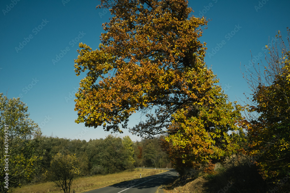 Fototapeta premium Exploring roads less ridden, little adventures around hometown