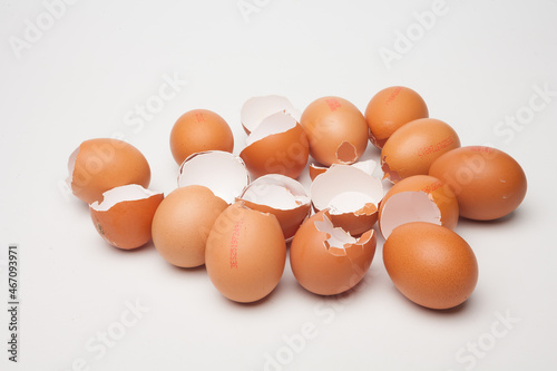 eggshells, broken pink eggs.