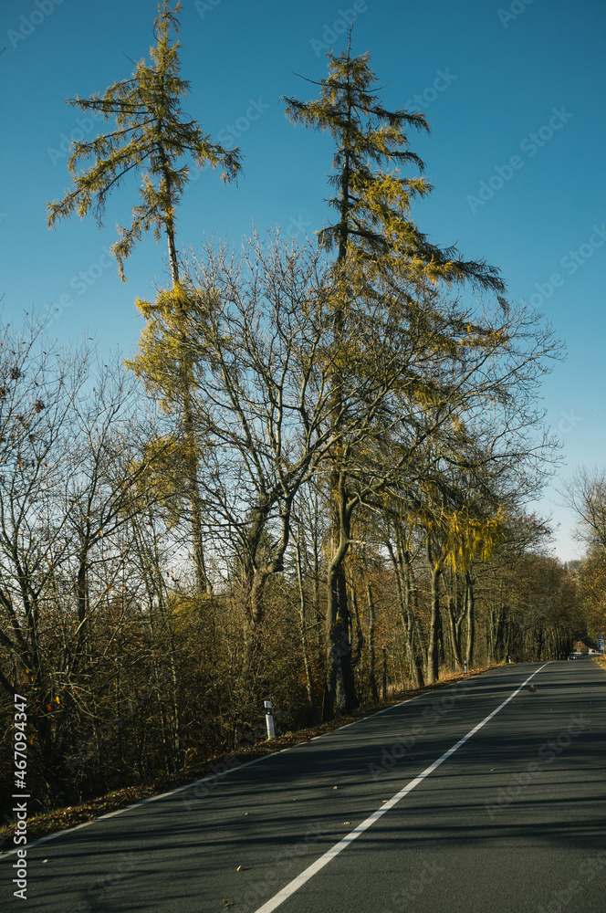 Fototapeta premium Exploring roads less ridden, little adventures around hometown