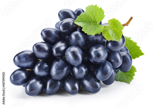 Dark blue grape isolated on white. Fresh black grape with leaves. Clipping path. Full depth of field.