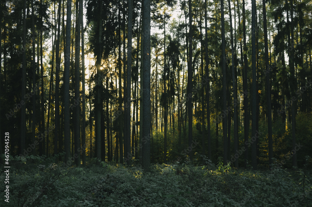 Obraz premium Exploring roads less ridden, little adventures around hometown