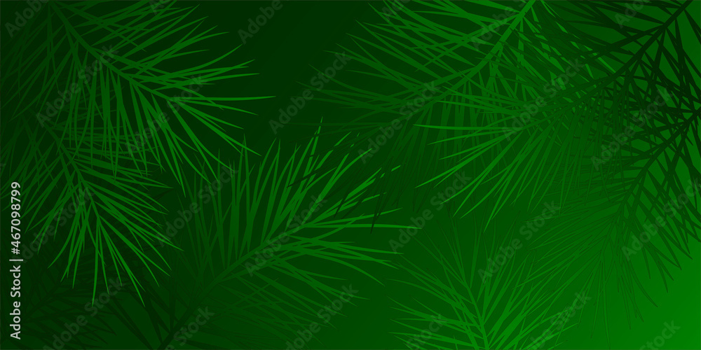 green background with spruce branches. vector illustration