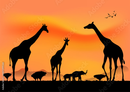 graphics landscape view giraffe at the forest with mountain background and twilight silhouette vector illustration