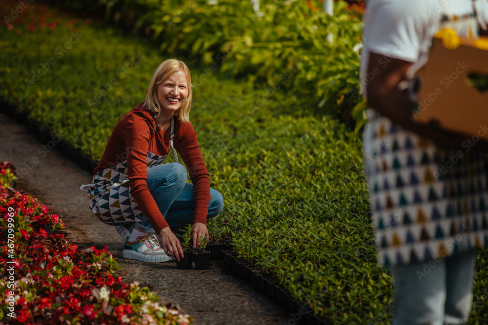 Fototapeta premium Young florist couple at work