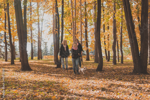 Little girl running with her dog jack russell terrier among autumn leaves. Mother and grandmother walks behind