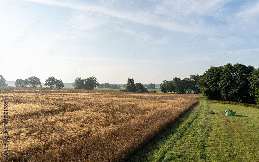 landscape with a field and trees, Marlow, Germany