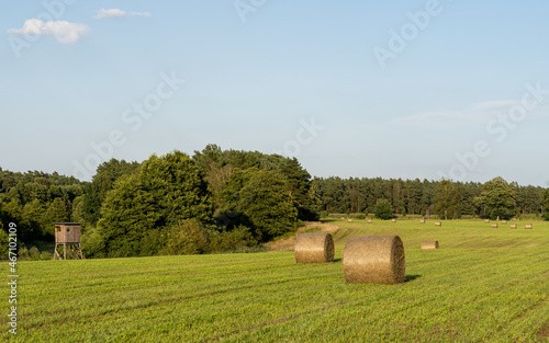 hay bales in the field, Gransee, Germany