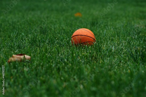 Orange ball on green grass