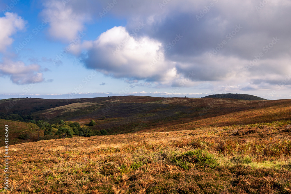 October hike over the barren landscape of the Quantock Hills, Somerset south west England UK