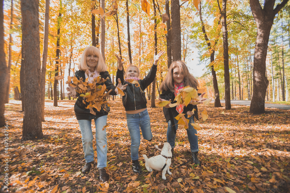 Fototapeta premium Grandmother and mother with granddaughter throw up fall leaves in autumn park and having fun. Generation, leisure and family concept.
