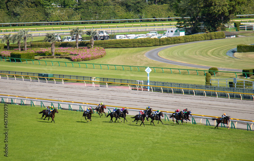 競馬　東京競馬場