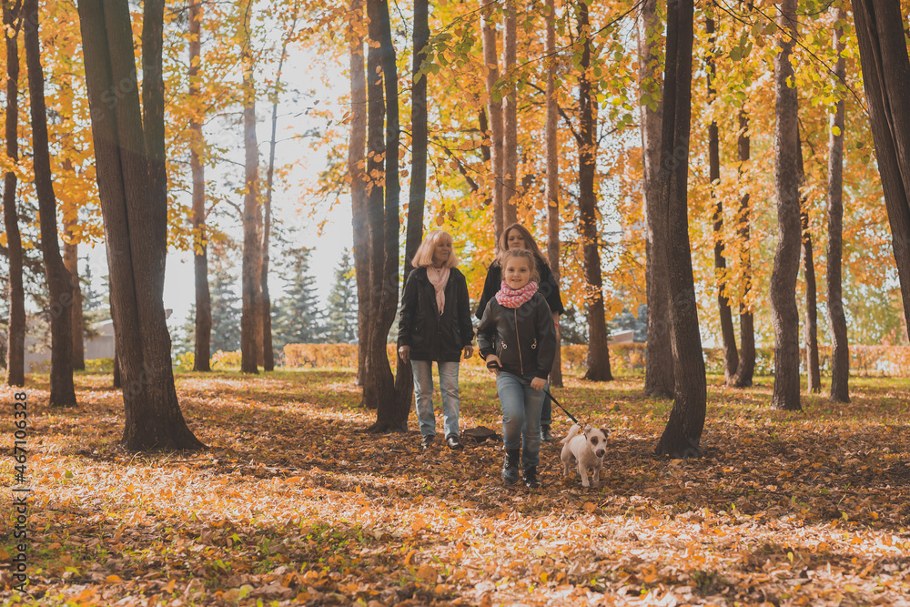 Grandmother and mother with granddaughter walks together in autumn park and having fun. Generation, leisure and family concept.