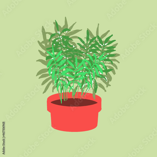 Green houseplant palm tree in a pot, vector
