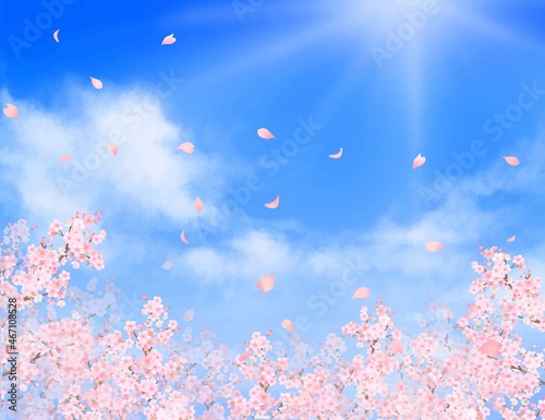 美しく華やかな桜の花と花びら舞い散る春の爽やか青空に光差し込む雲のフレーム背景ベクター素材イラスト  © Merci