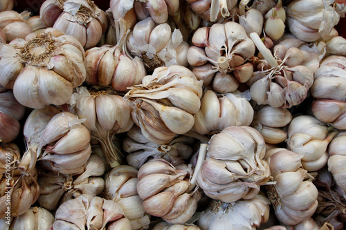 Garlic cloves for sale in French Market 