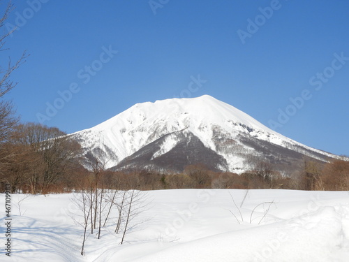 早春の岩木山