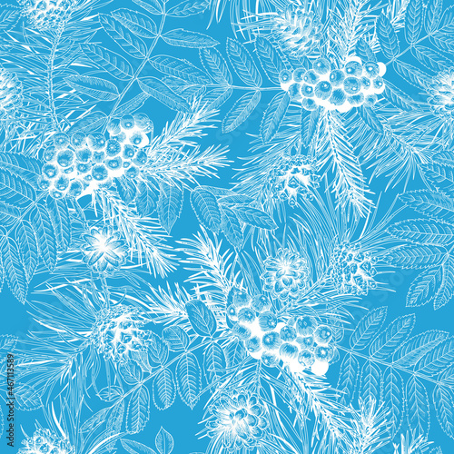 New year seamless pattern with rowan, spruce and pine. Winter background with cones, branches and berries. Vector floral ornament. Skyblue and White.