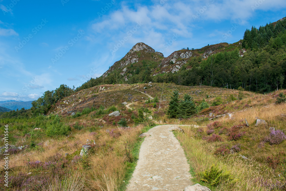 Obraz premium path in the mountains