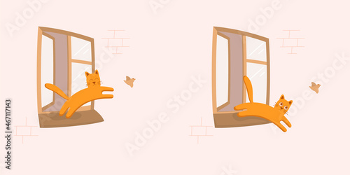 Red cat jumping from opened window while catching bird and fall down. Pets' safety, proofing