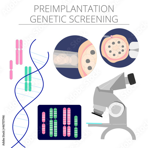 Vector colored illustration of PGD preimplantation genetic screening of embryon or morula oocyte photo