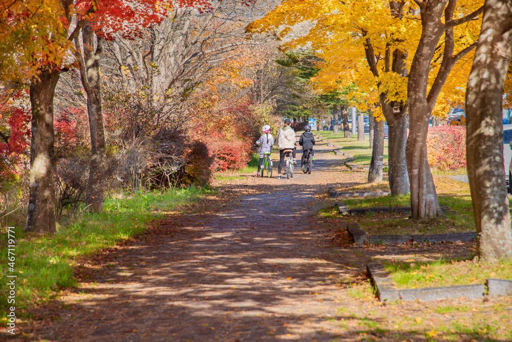 Naklejka premium 紅葉の季節に軽井沢で自転車に乗る親子