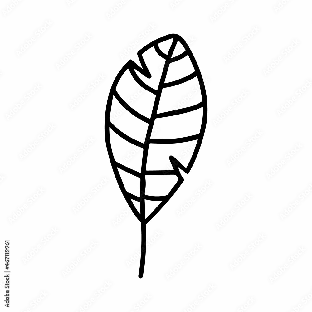 Vector hand drawn autumn leaf isolated on white background icon. Cute doodle fall leaf for seasonal design, textile, decoration for greeting card. Doodle coloring page for adult and kids. Ink line art