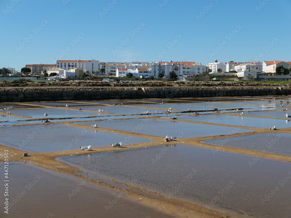 Panoramic view of a Tavira salt pan in the Algarve, Portugal Panoramic view of a Tavira salt pan in the Algarve, Portugal