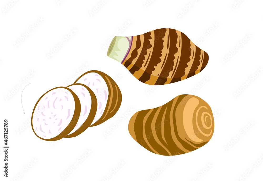 Taro root. Whole, half and slices. Tubers of dasheen plant, colocasia esculenta, satoimo. Chinese and japanese vegetable. Asian cuisine ingredient. Healthy vegetarian food. Flat vector illustration. Taro root. Whole, half and slices. Tubers of dasheen plant, colocasia esculenta, satoimo. Chinese and japanese vegetable. Asian cuisine ingredient. Healthy vegetarian food. Flat vector illustration.