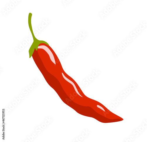 Hot red chili pepper. Spicy fresh vegetable. Cooking ingrediant. Healthy natural vegetarian food. Hand drawn flat vector illustration.