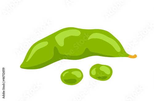 Edamame green beans. Soybean pod. Fresh vegetable. Asian cooking ingredient. Healthy natural vegetarian food. Hand drawn flat vector illustration.