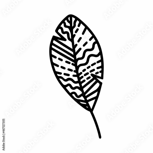 Vector hand drawn autumn leaf isolated on white background icon. Cute doodle fall leaf for seasonal design, textile, decoration for greeting card. Doodle coloring page for adult and kids. Ink line art © Olya Grace