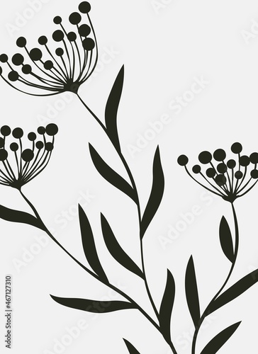 Silhouettes of plants and leaves. Abstract black and white minimalistic poster.