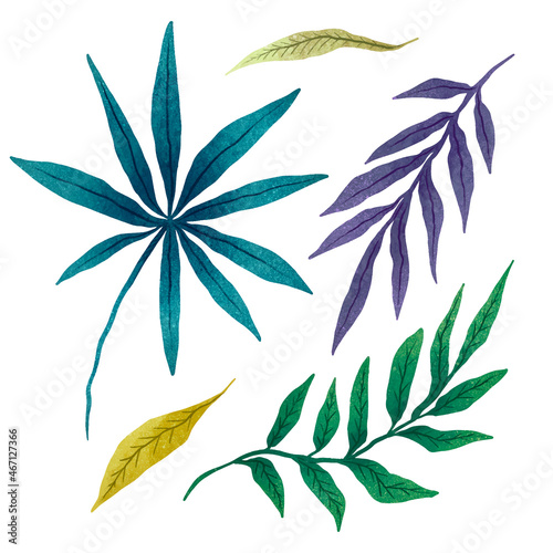 set of illustrations tropical minimalistic leaves