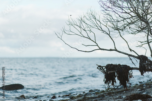 Dänemark