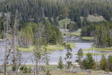 Yellowstone National Park.
Portion of landscape of Yellowstone National Park with Yellowstone River, green forest and part of dead plant caused by acidic soil.