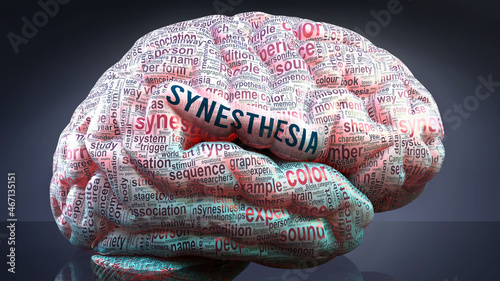 Synesthesia in human brain, hundreds of crucial terms related to Synesthesia projected onto a cortex to show broad extent of the condition and to explore concepts linked to it, 3d illustration photo