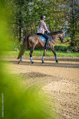 Reiterin mit Pferd © Petra Fischer