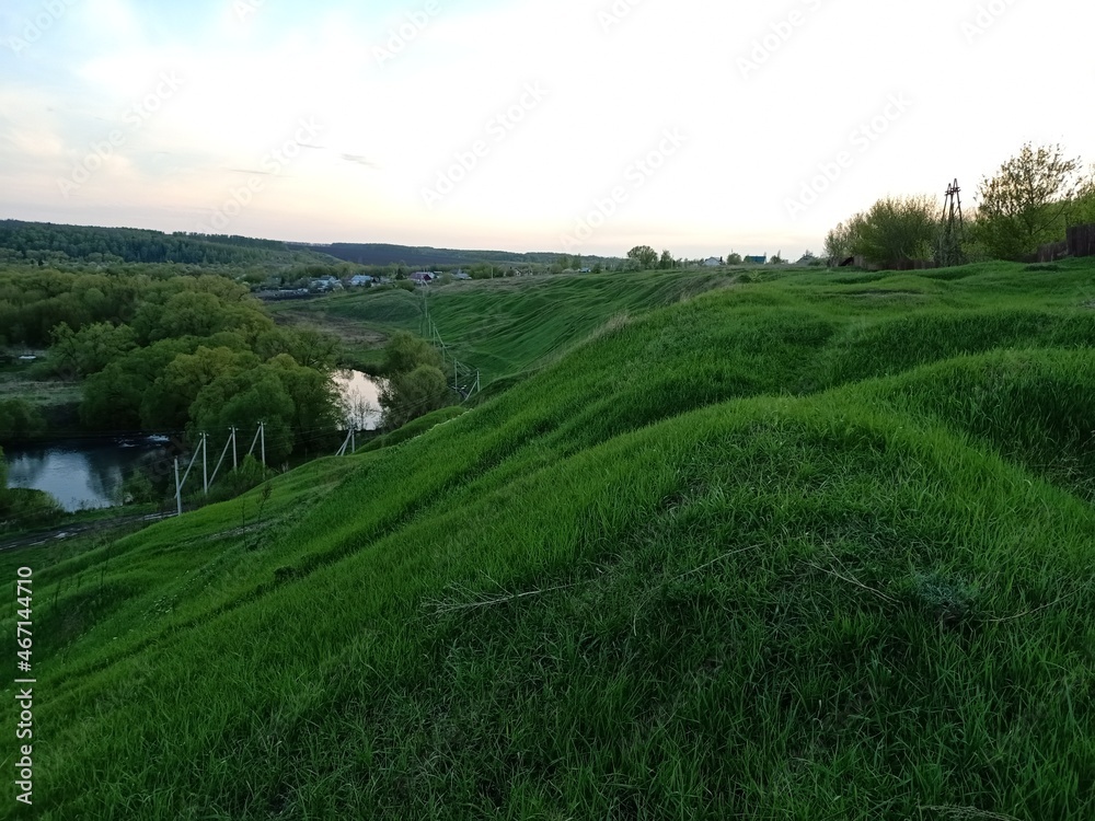 Obraz premium rice field