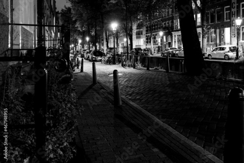 Amsterdam city , monochrome , during autumn 
