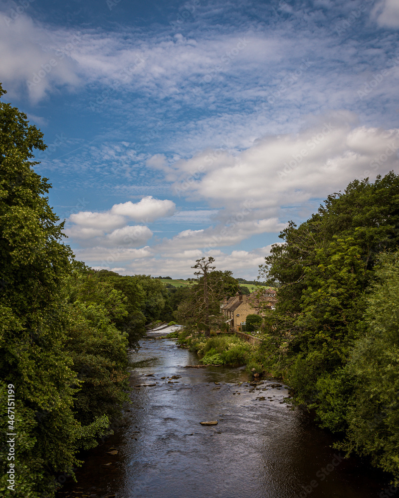 River by the trees with blue sky and clouds River by the trees with blue sky and clouds