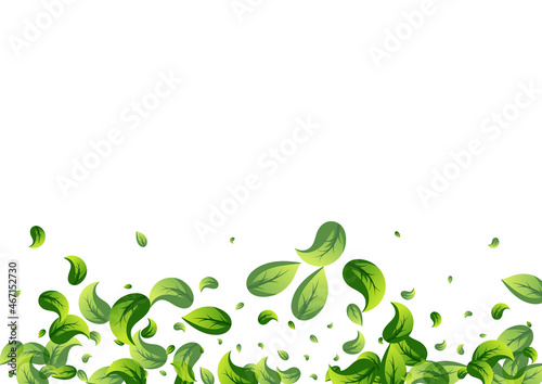 Lime Leaf Tea Vector White Background Design.