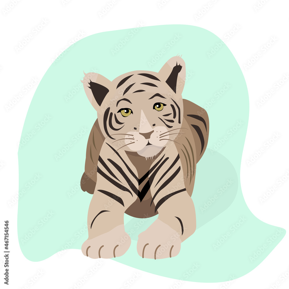 Symbol of the new year 2022. Tiger with stripes. Cute tiger cub lies on his tummy.