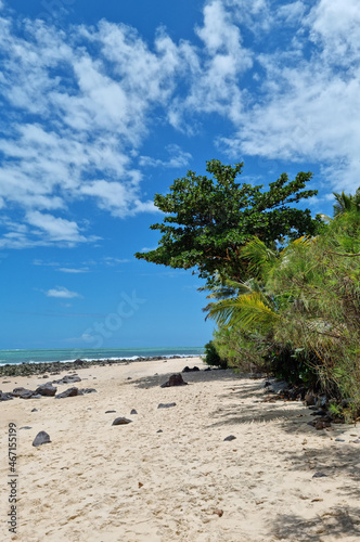 Beautiful deserted beach with vegetation in the foreground, in a blue sky day