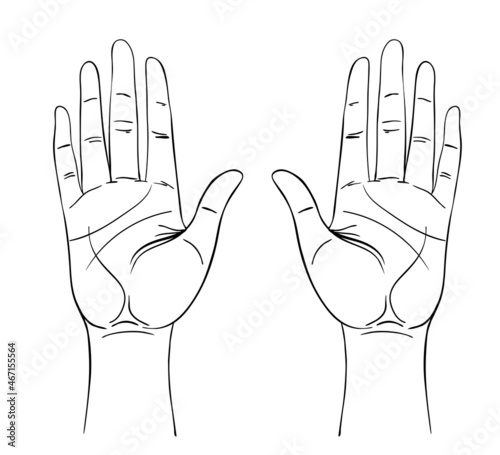 Vintage Hands. Hand drawn sketchy illustration with mystic and occult hand drawn symbols. Palmistry concept. Vector illustration. Spirituality, astrology and esoteric.