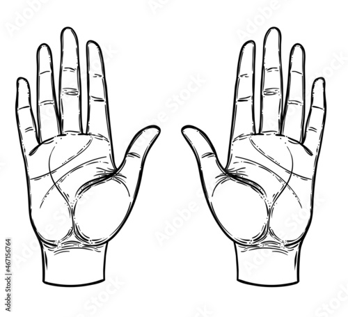 Vintage Hands. Hand drawn sketchy illustration with mystic and occult hand drawn symbols. Palmistry concept. Vector illustration. Spirituality, astrology and esoteric.