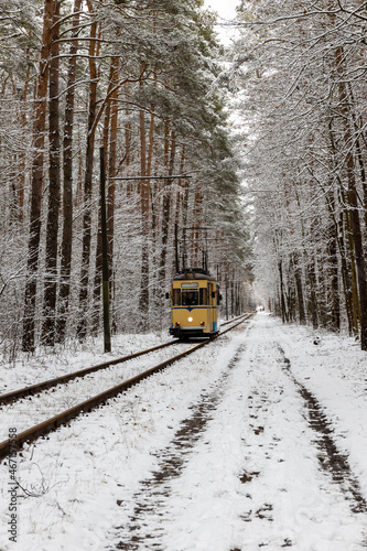Yellow tram traveling through the snowy forest